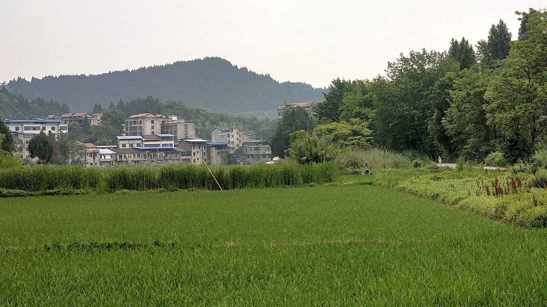 P00606-084810.jpg