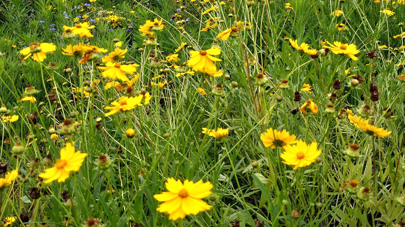 P00606-090946.jpg