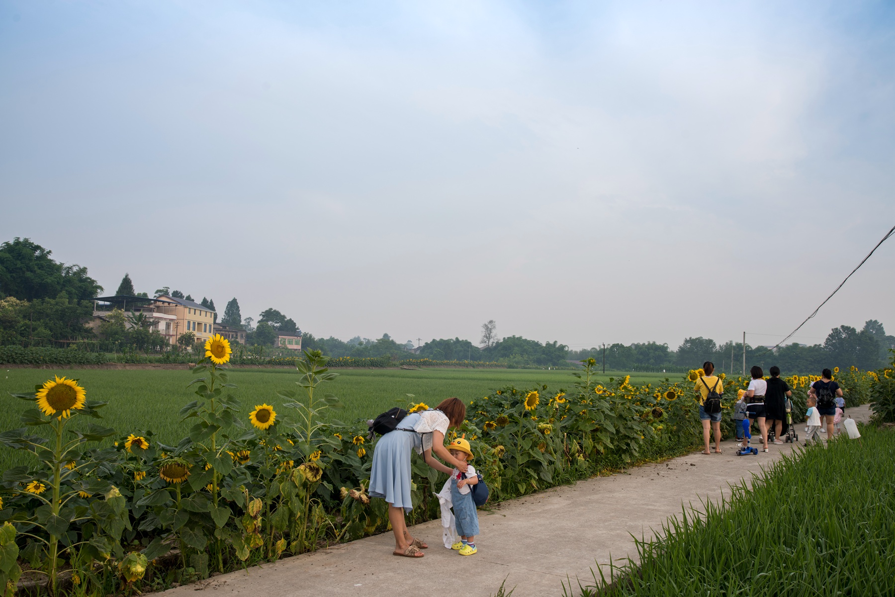 DSC_4086.jpg