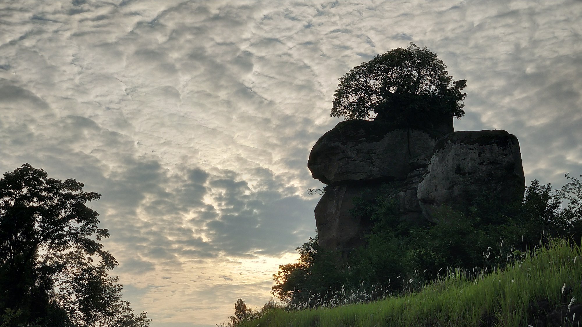 P00610-183707.jpg