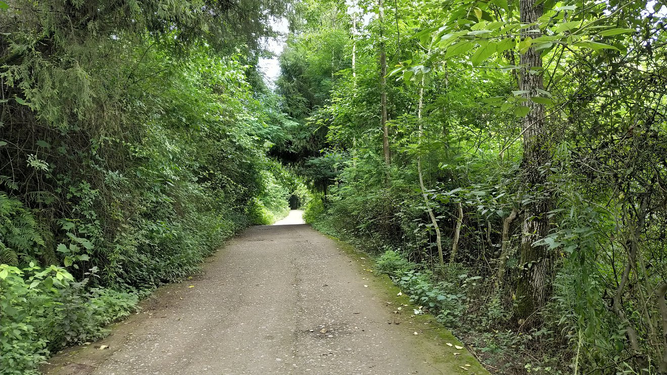 P00610-153334.jpg