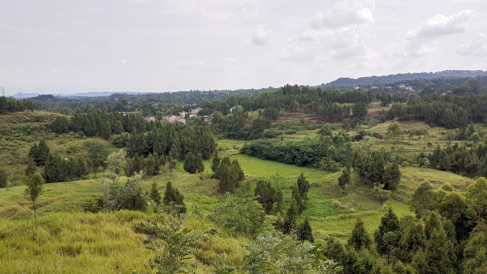 P00610-153617.jpg