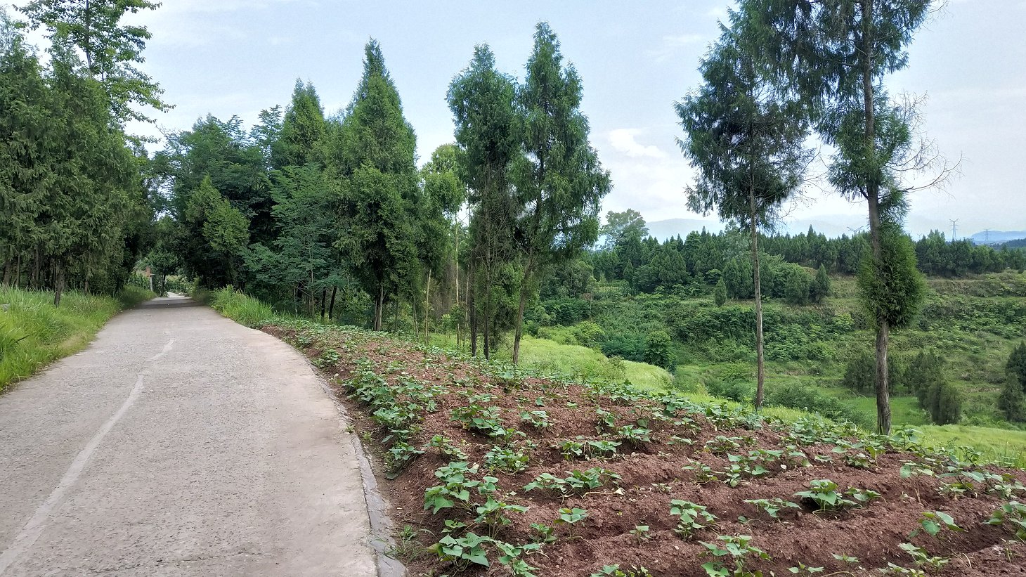 P00610-153838.jpg