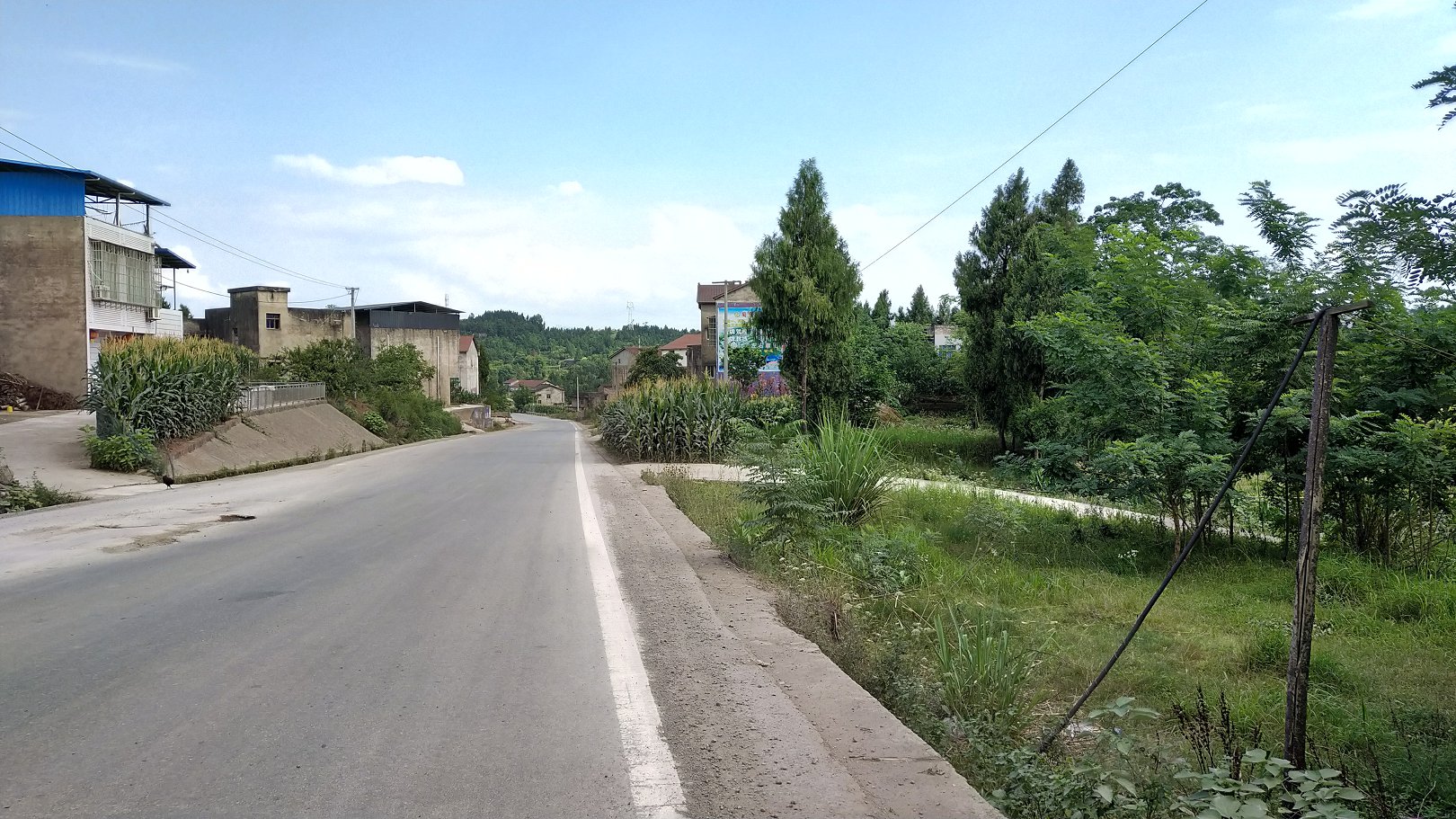 P00610-155207.jpg