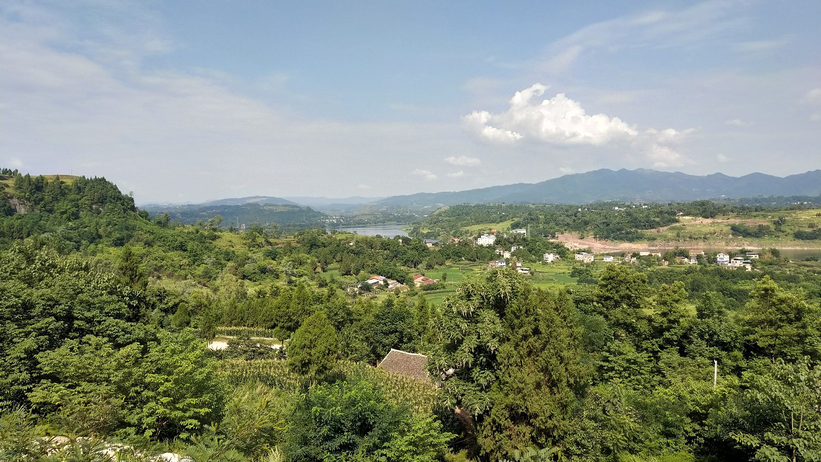 P00610-161450.jpg