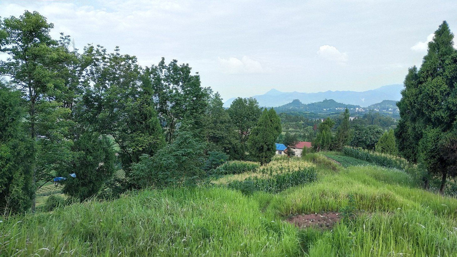 P00610-180809.jpg