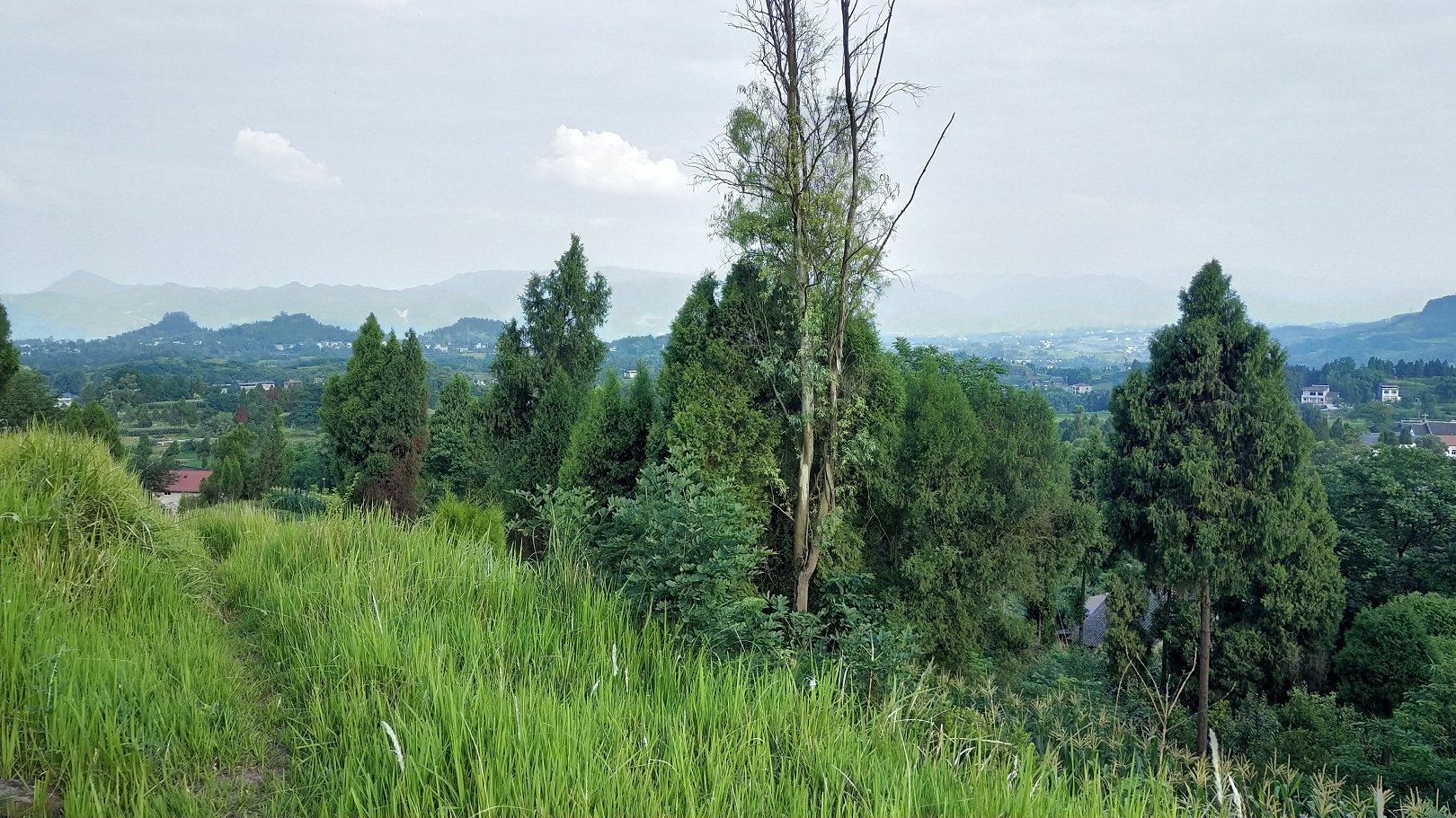 P00610-180908.jpg