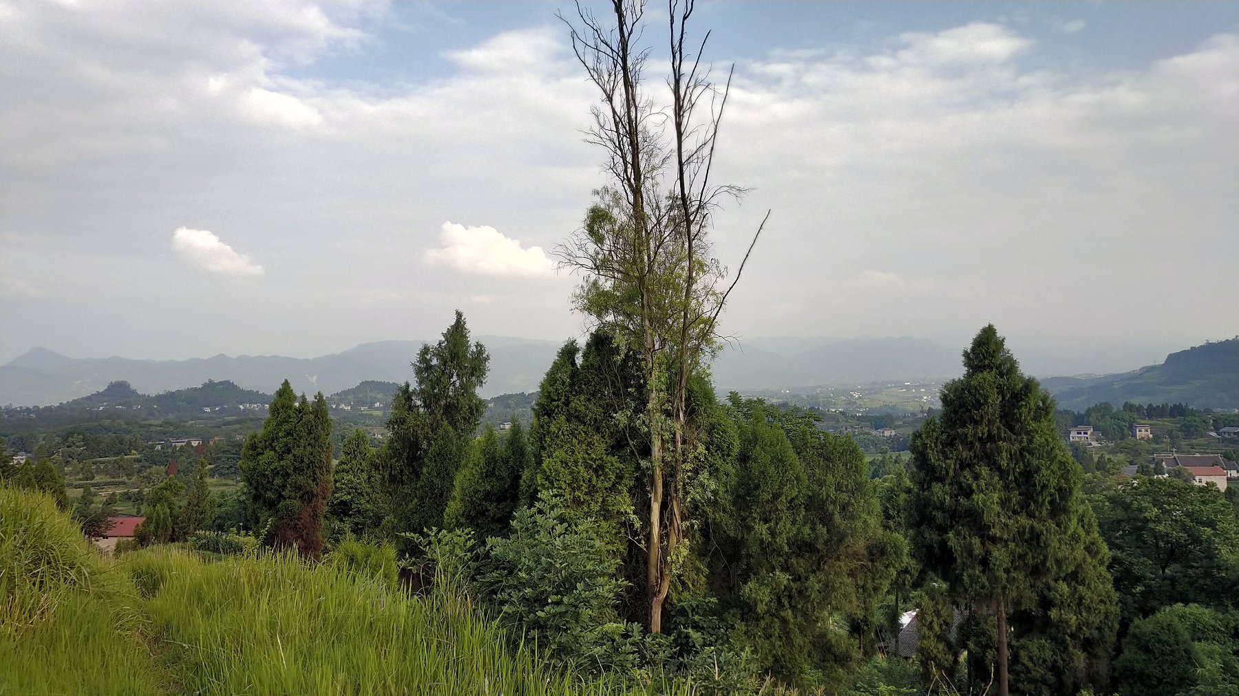 P00610-180911.jpg