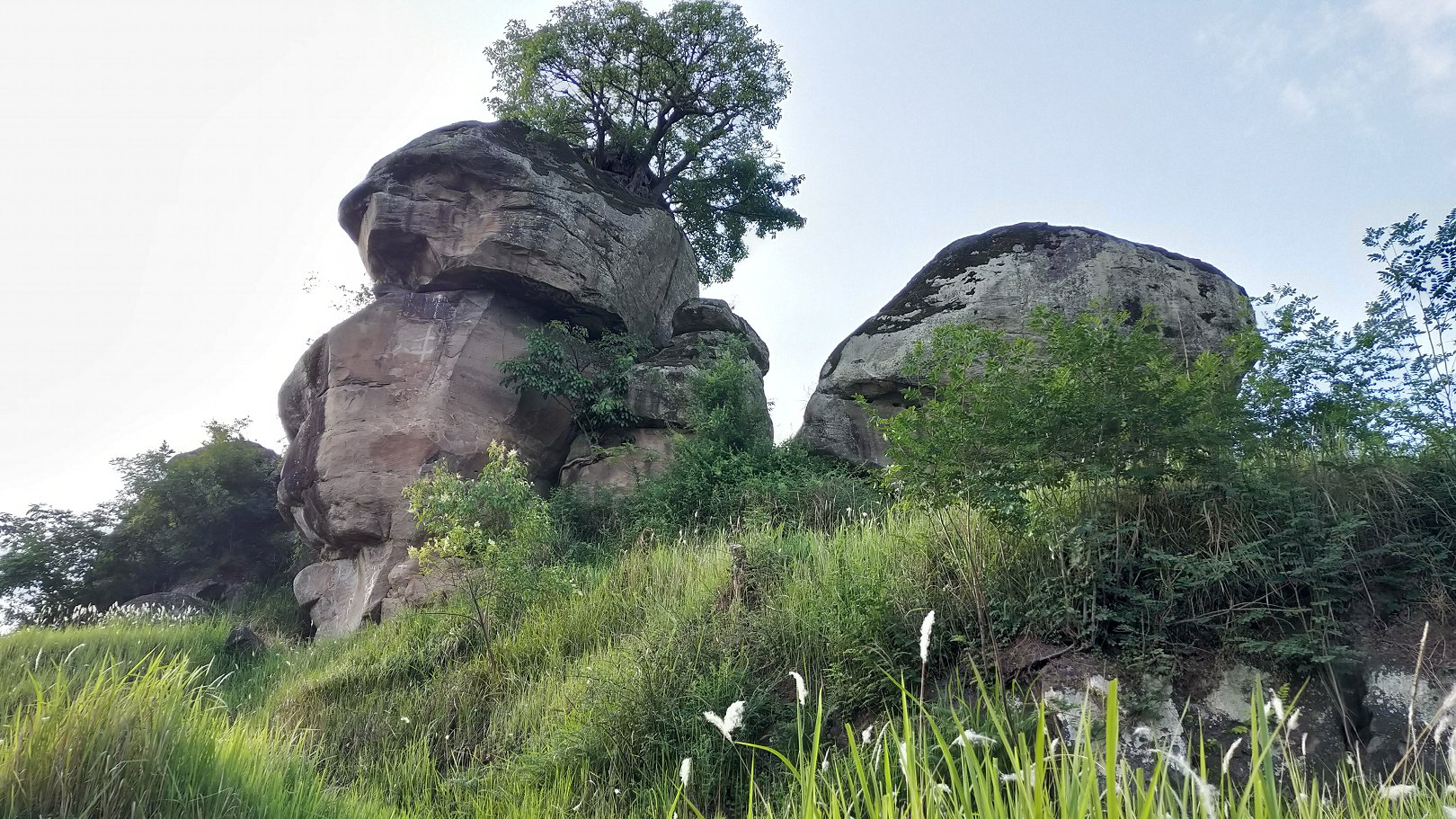 P00610-180948.jpg