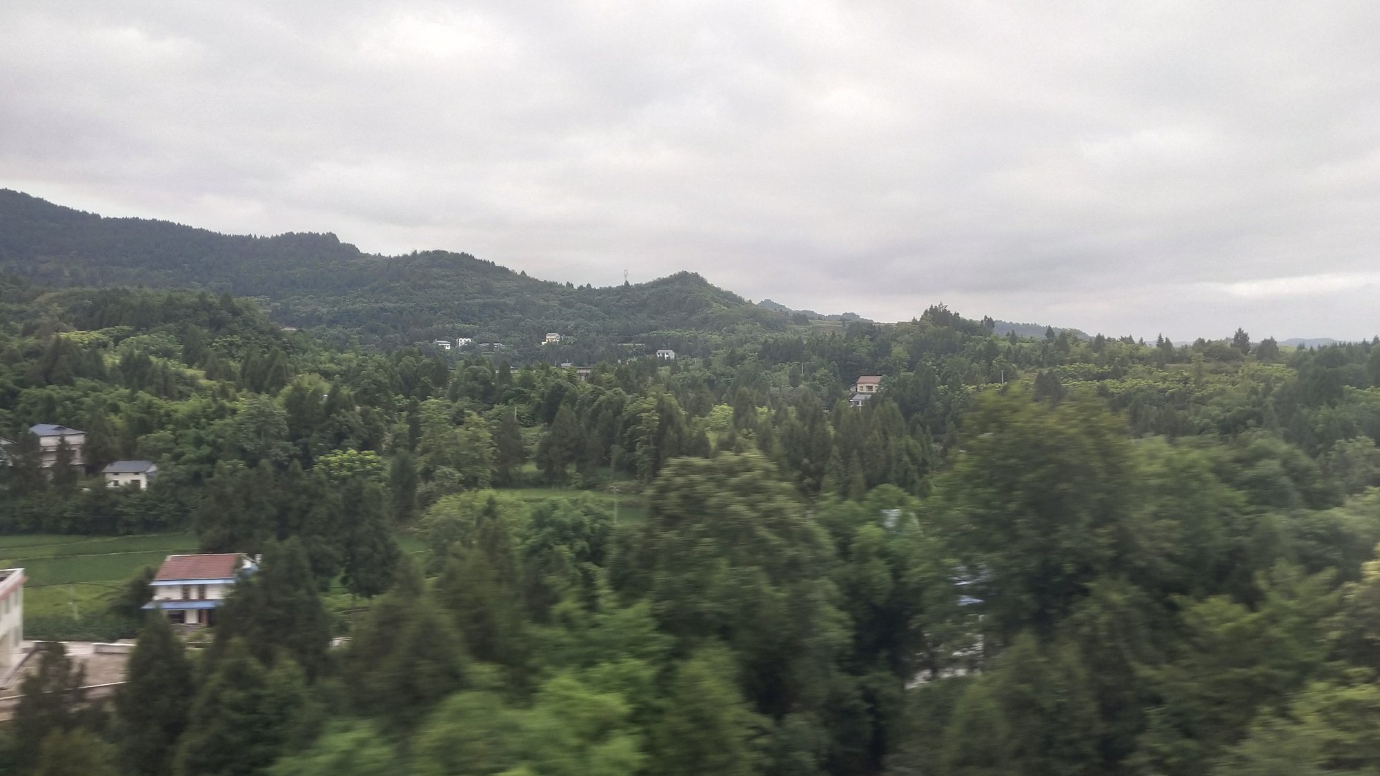 P00609-184702.jpg