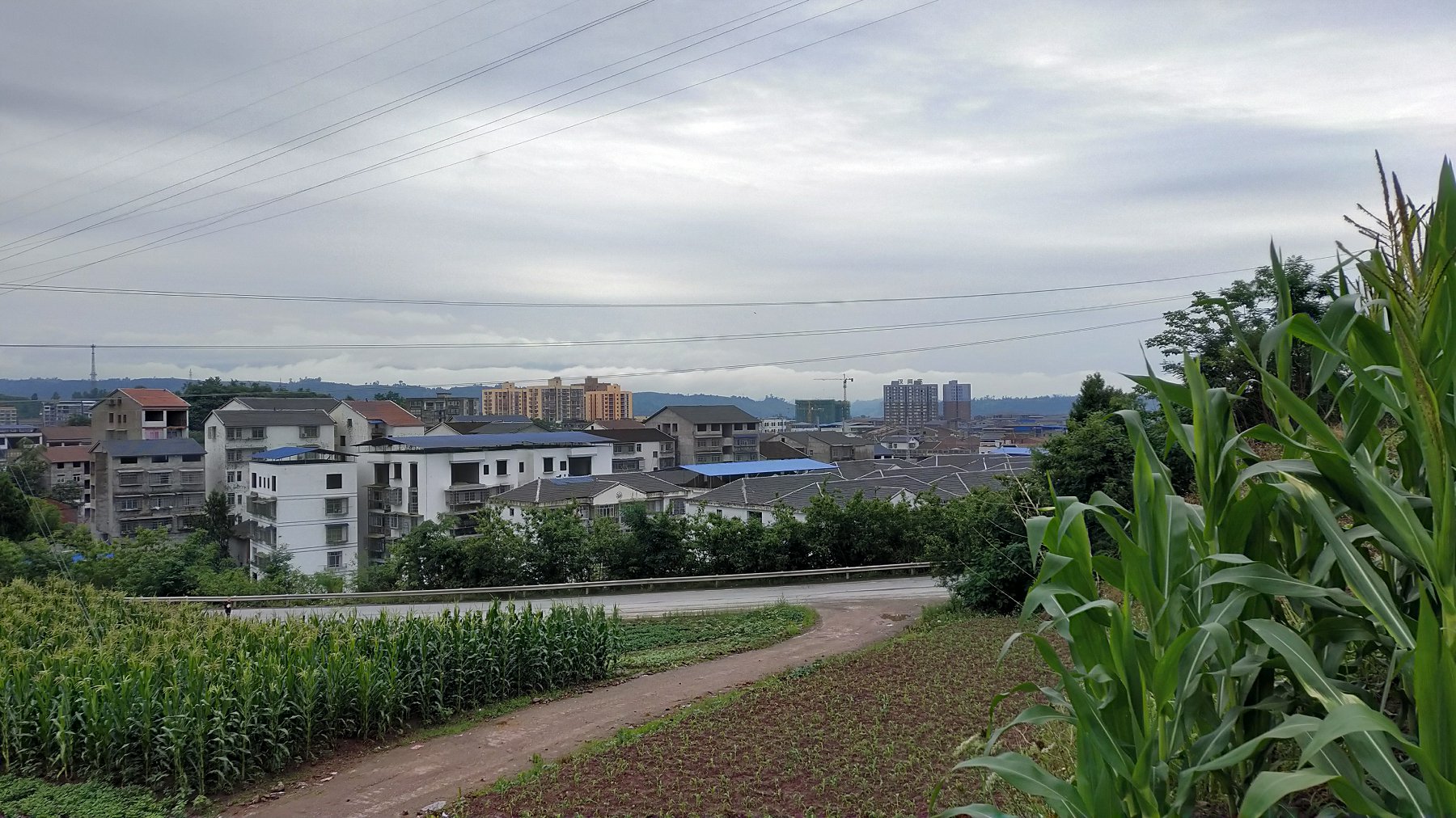 P00611-183354.jpg