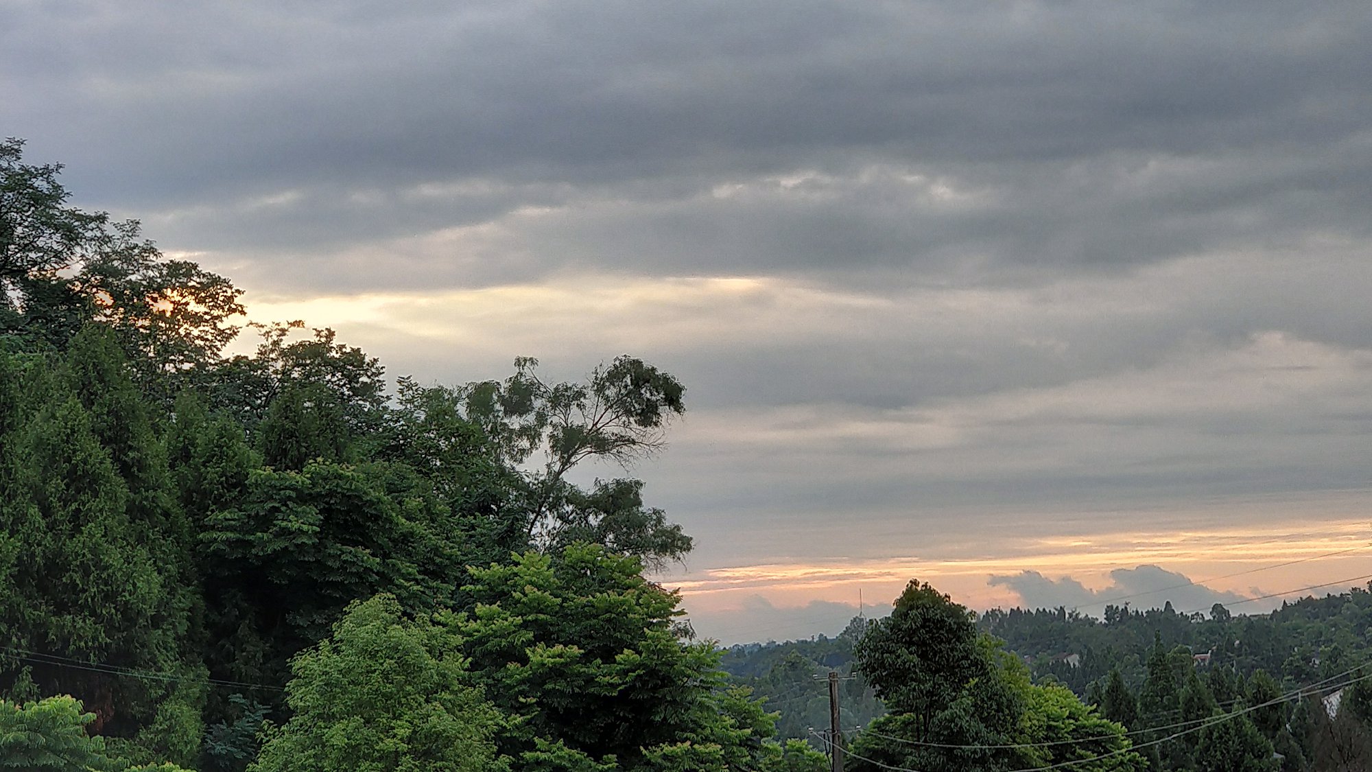 P00611-190246.jpg
