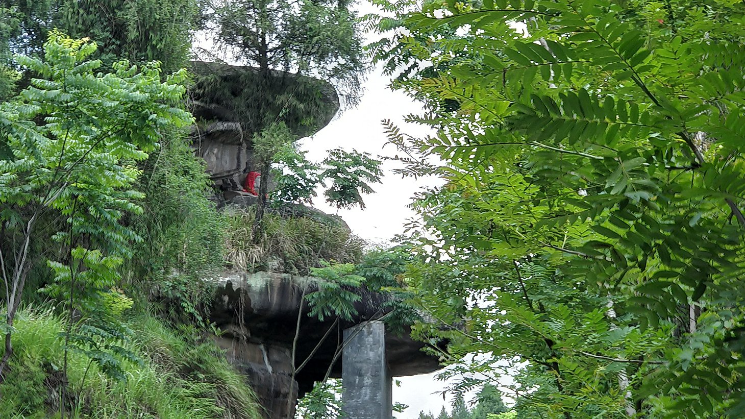 P00615-142717.jpg