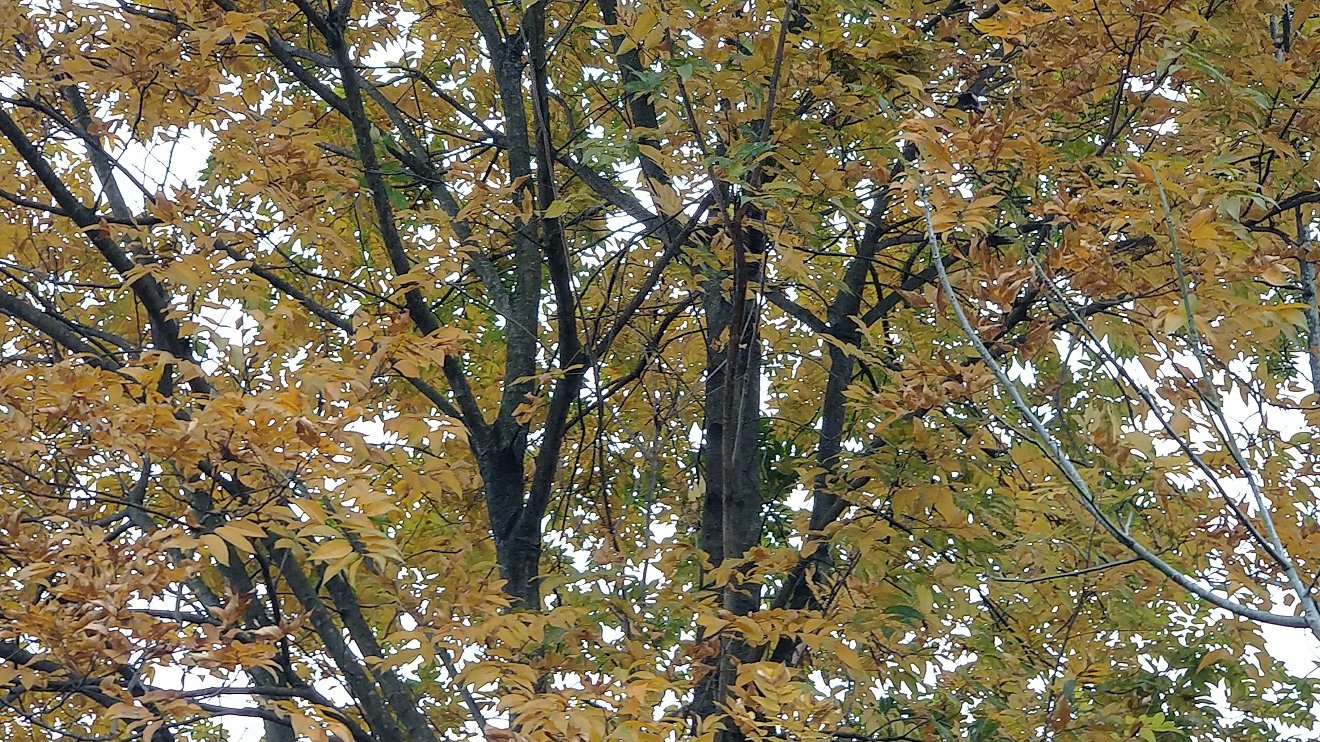 P00101-152546.jpg