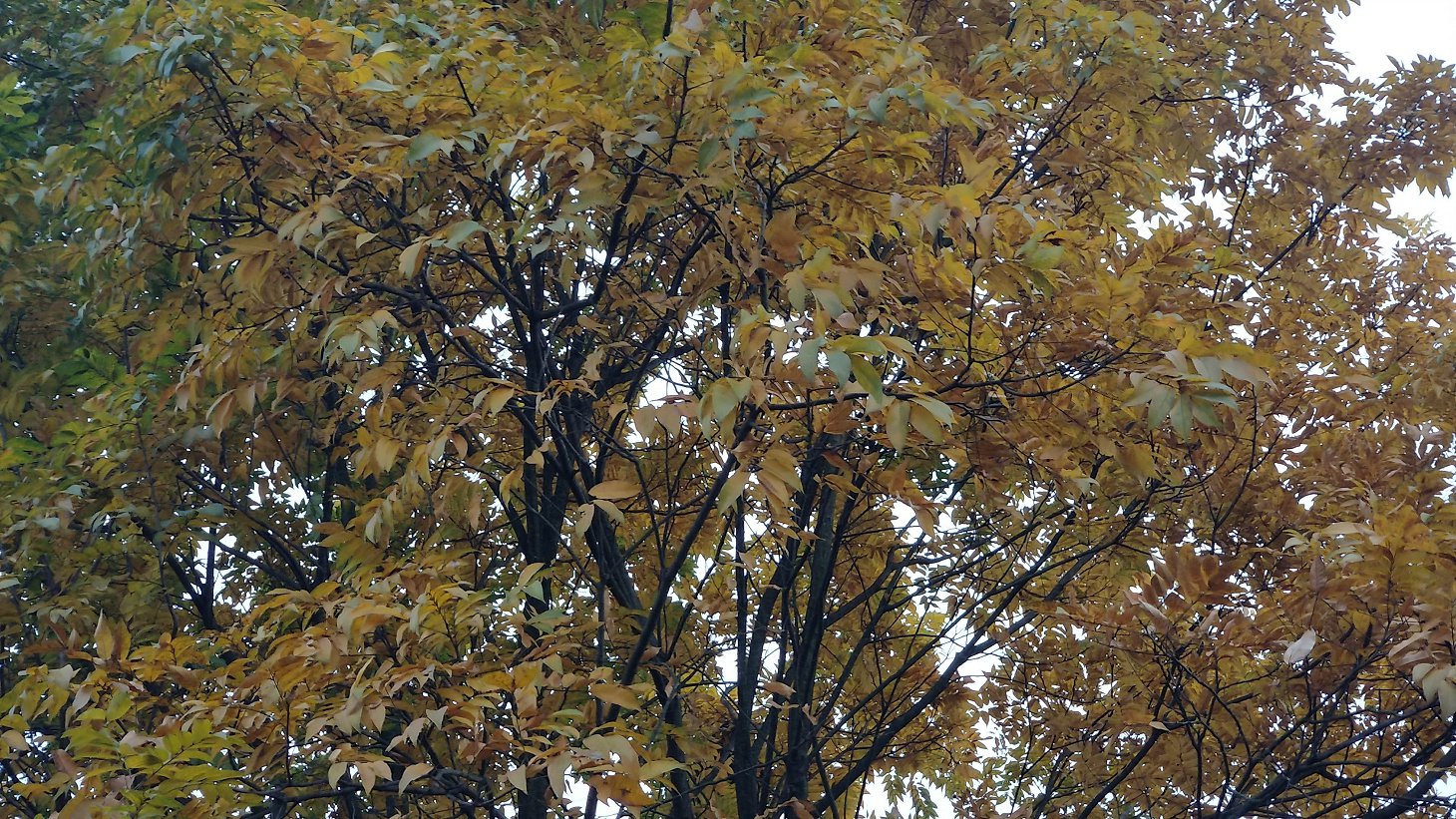 P91231-143433.jpg