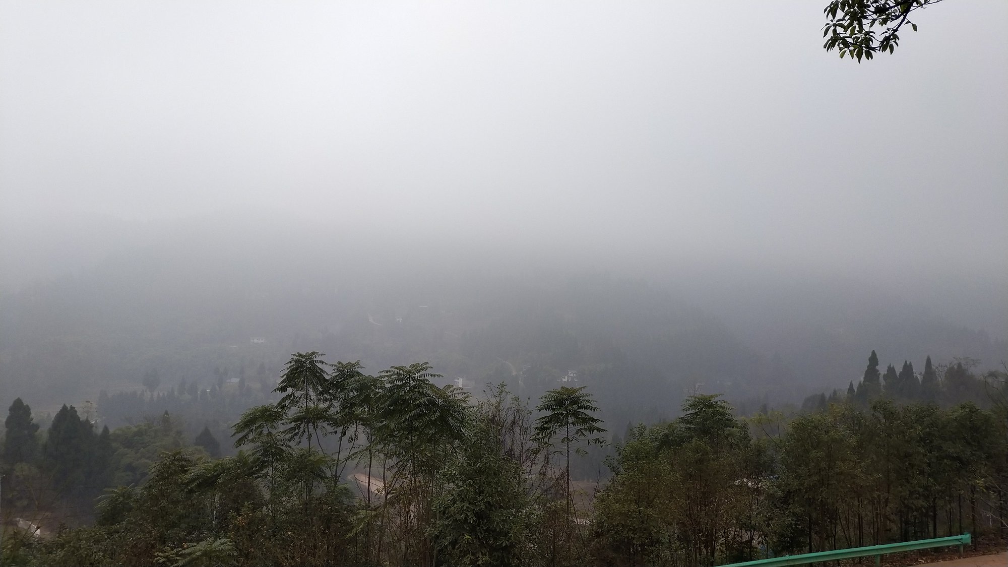 P91231-153129.jpg