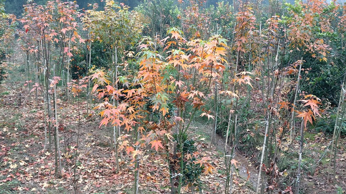P91231-154123.jpg