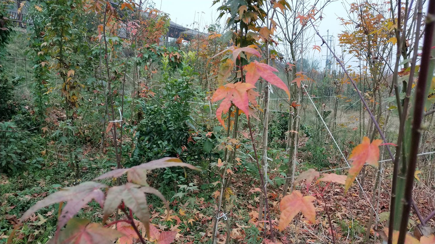 P91231-154256.jpg