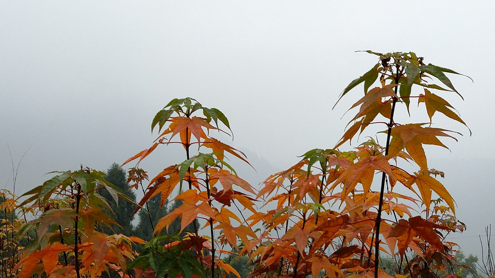 P91231-154601.jpg