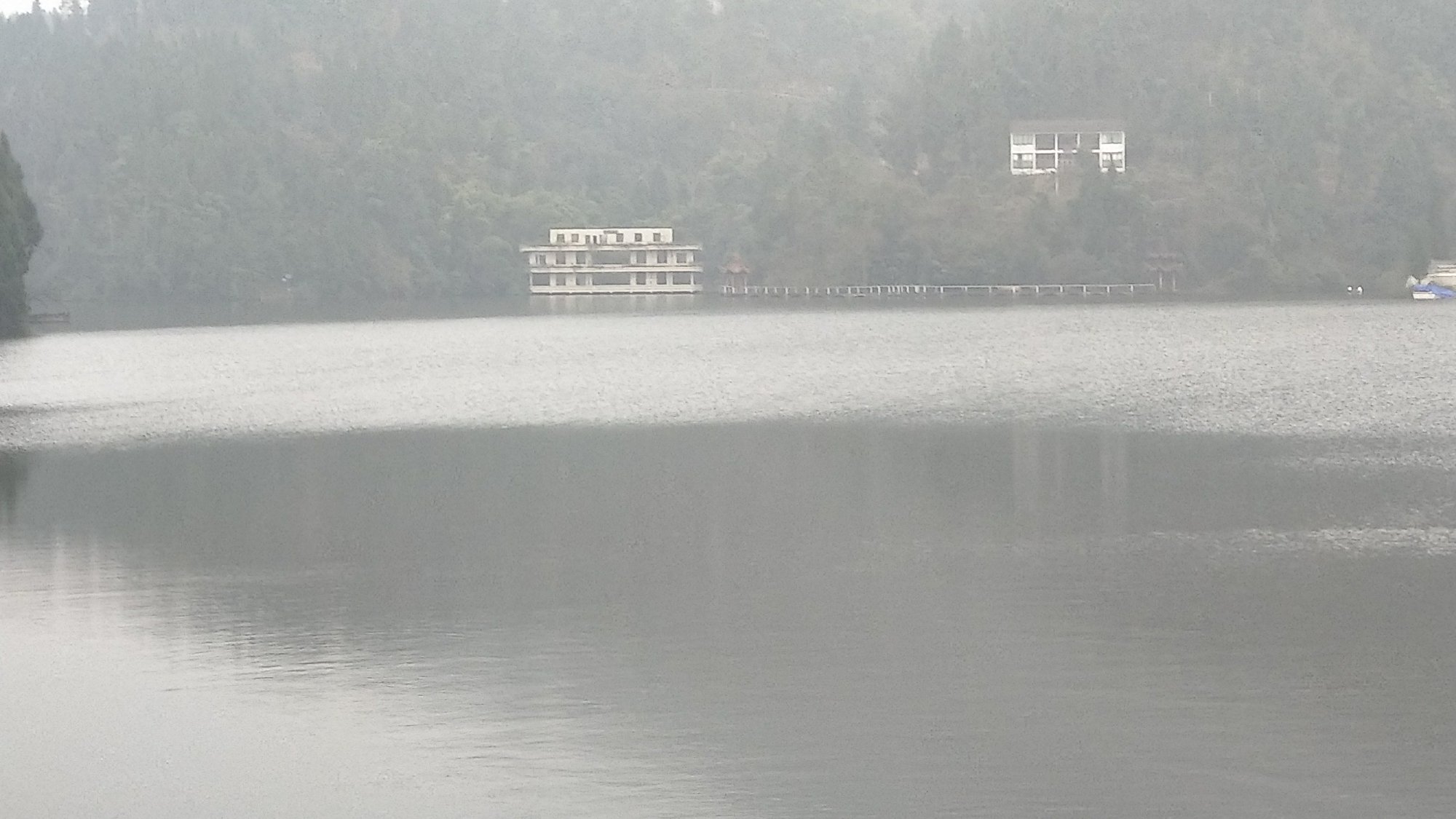 P91231-164708.jpg