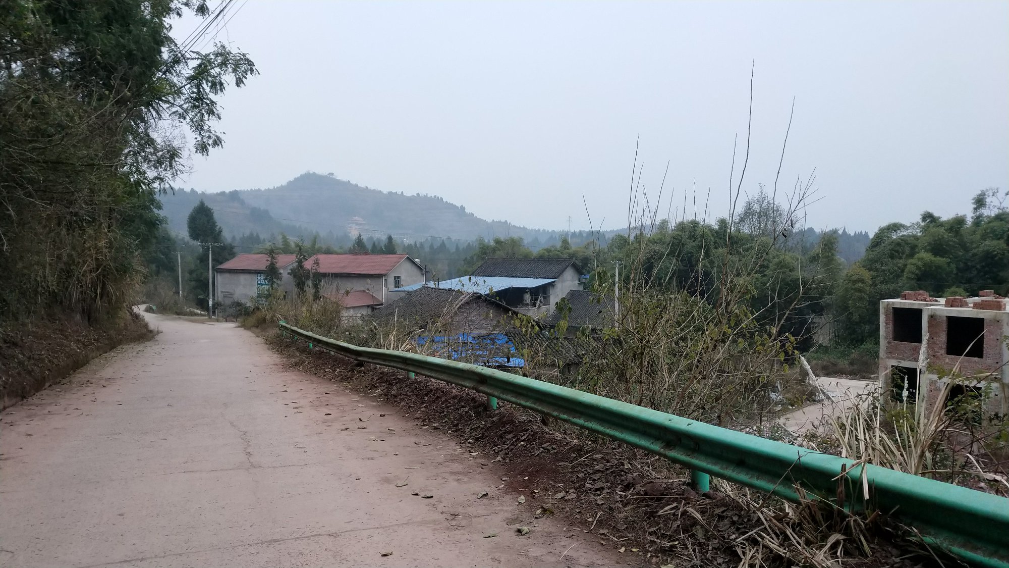 P91231-174011.jpg