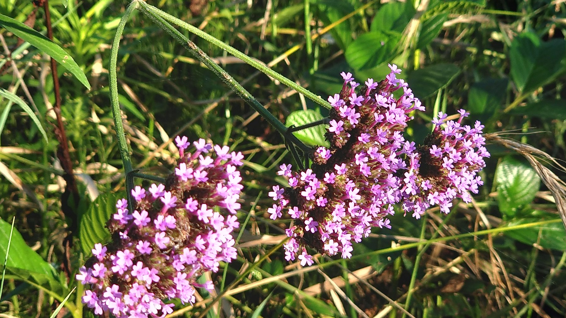 P00622-185526.jpg
