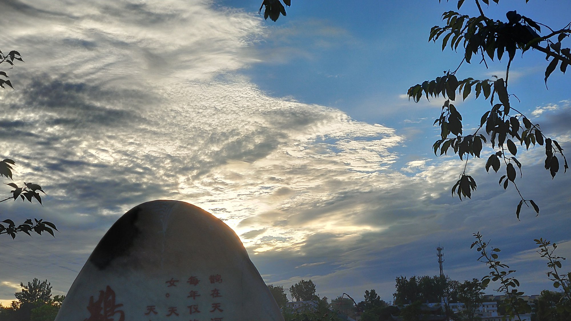 P00622-192221.jpg