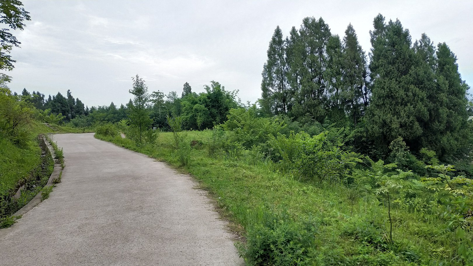 P00626-074457.jpg