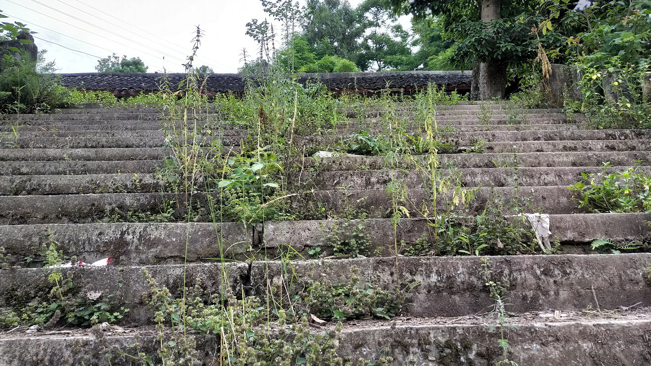 P00626-080729.jpg