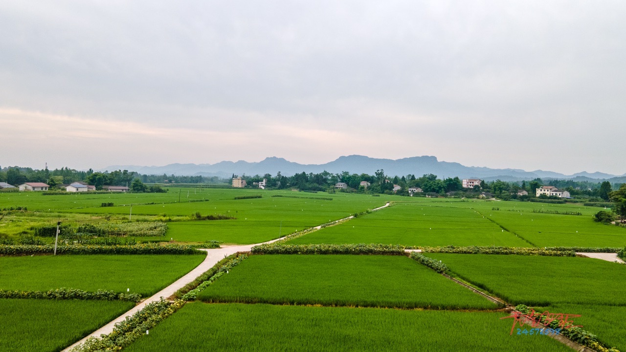 我的家乡农村风景图片