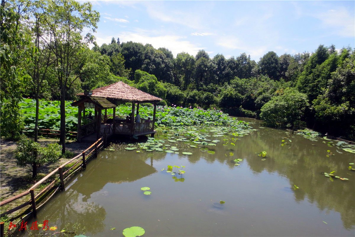 成都青城湾湿地庄园图片