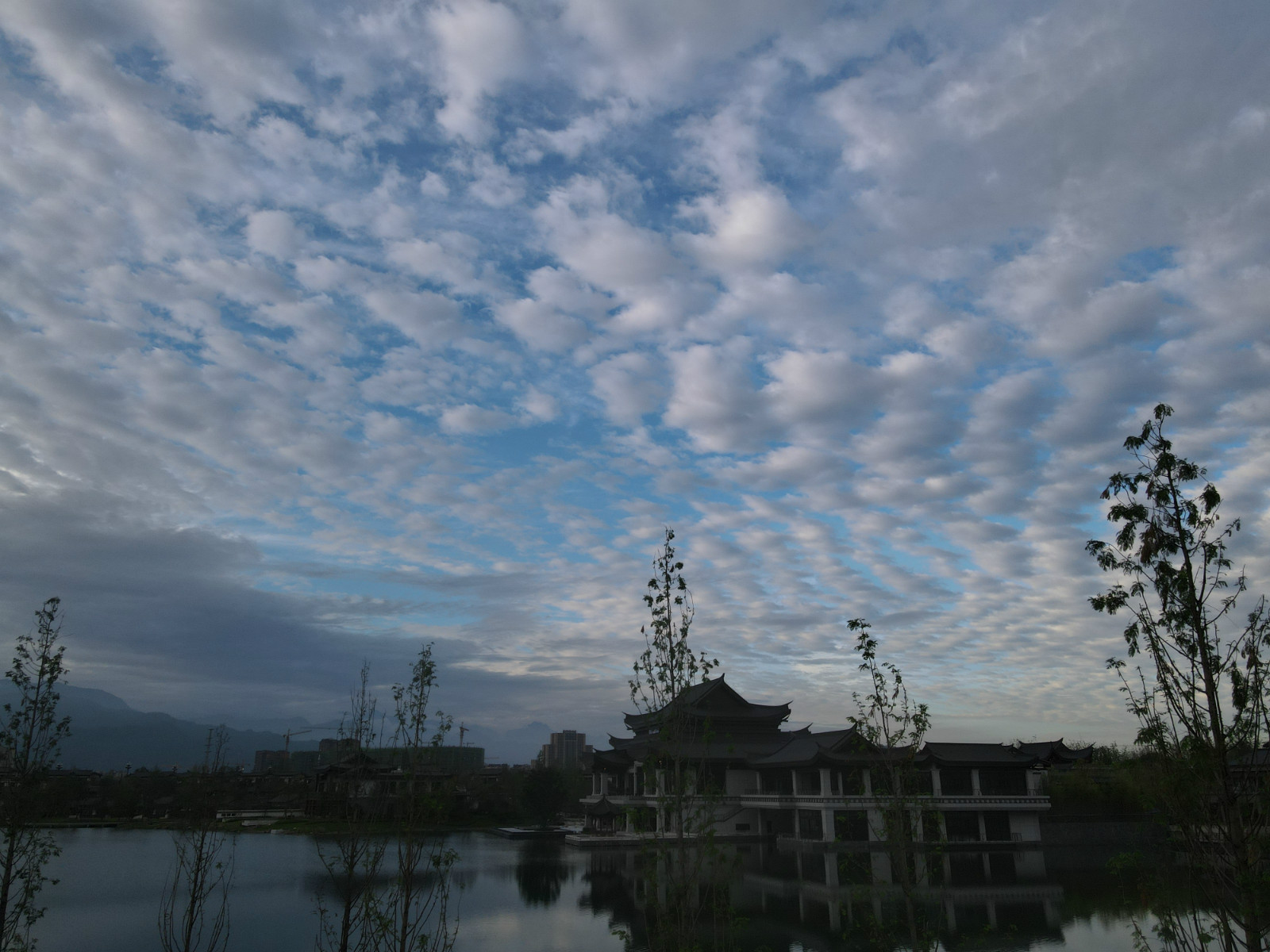 200859l8k93vkzk849347d.jpg