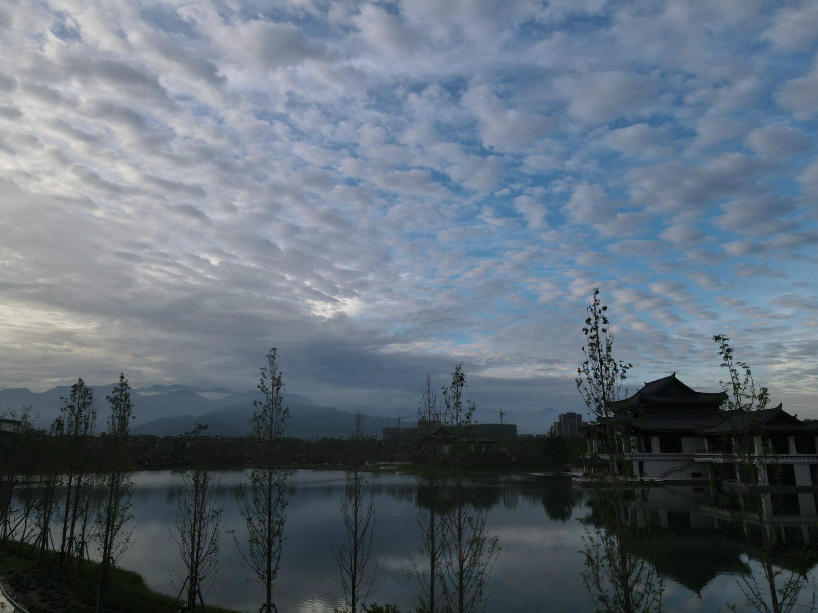 200940p7ot721c8ro6rr24.jpg