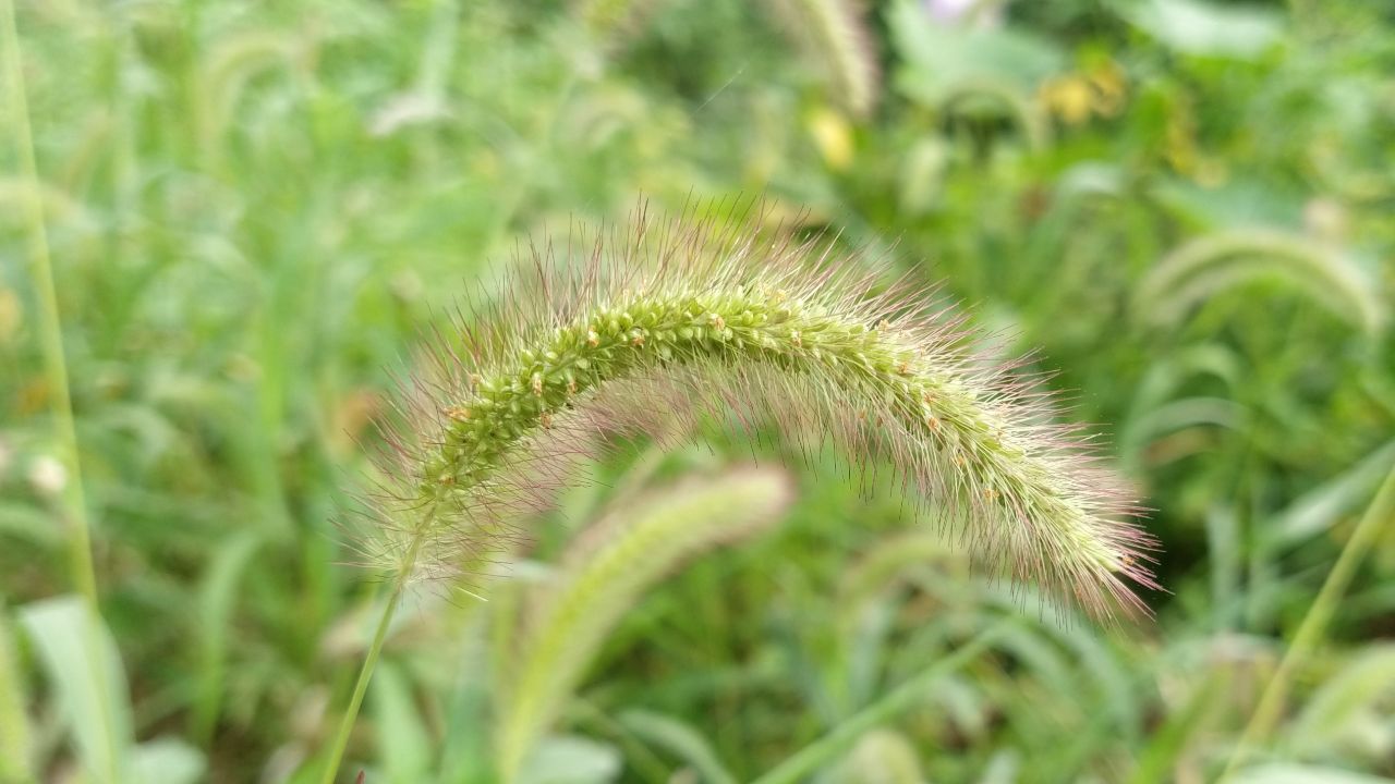 20200714_7527557_1594691530835.jpg