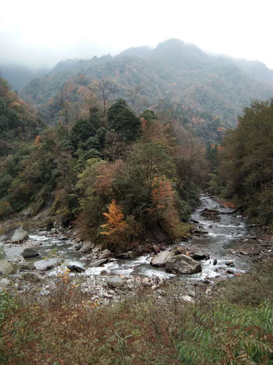 平武宽坝林场,旅游避暑圣地