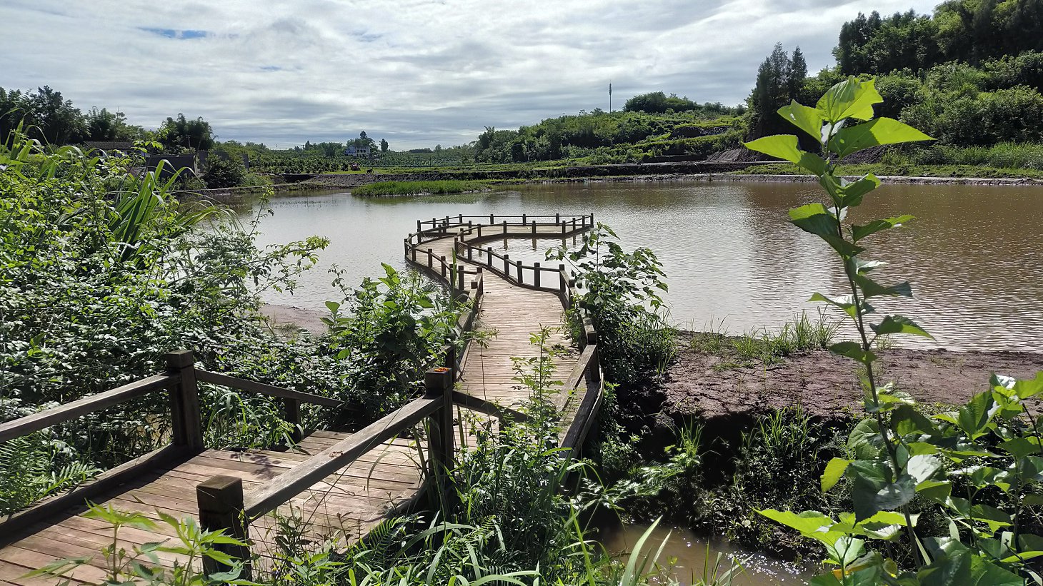 P00712-100420.jpg
