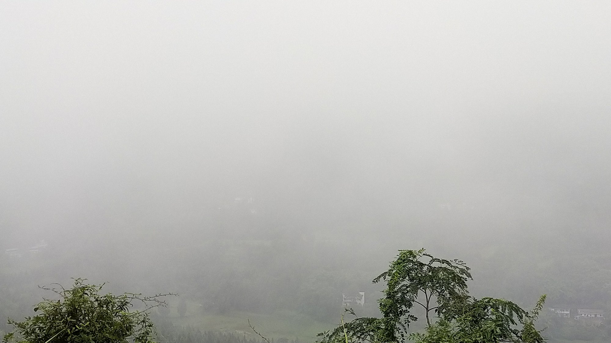 P00723-103919.jpg
