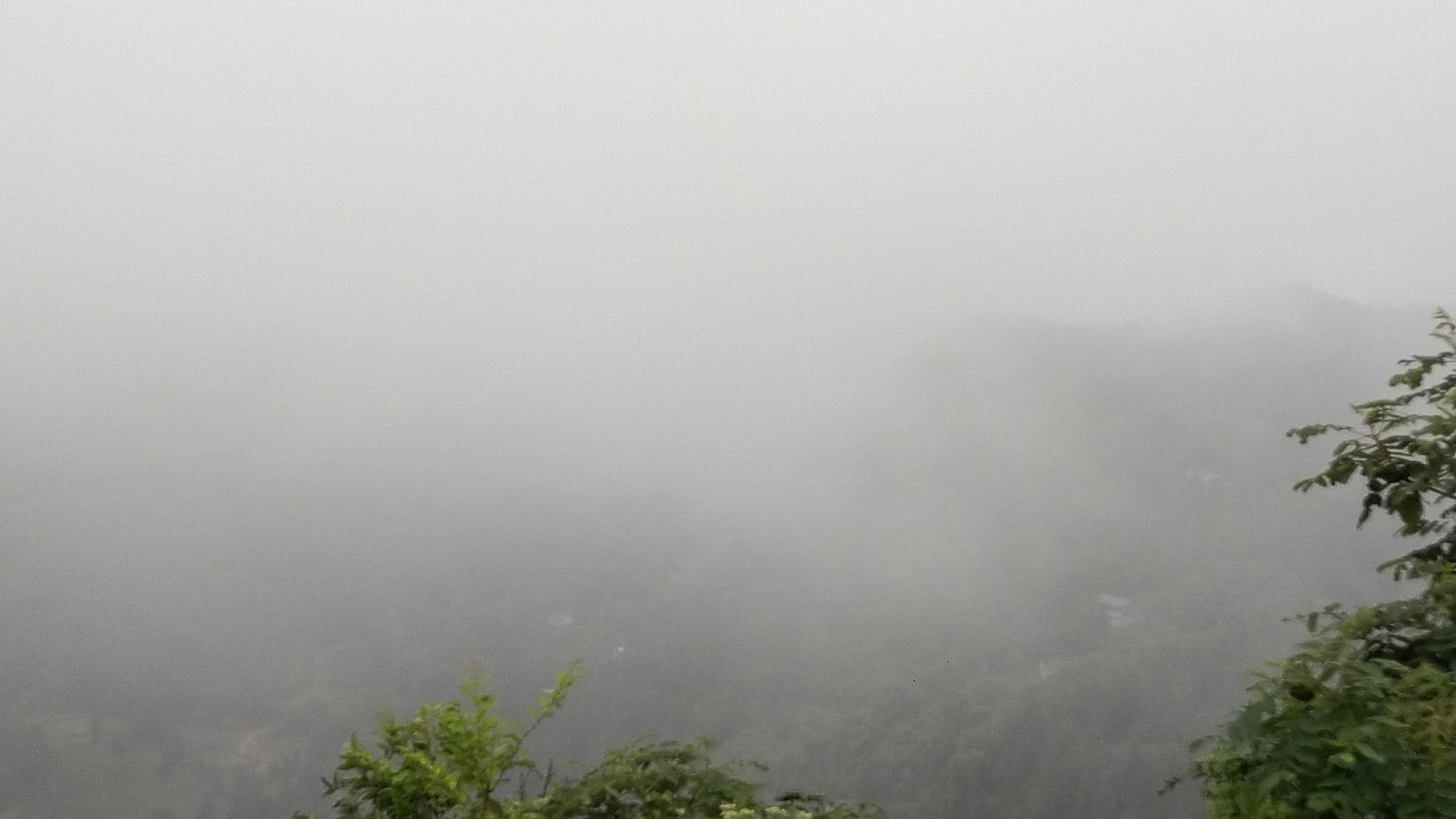 P00723-103911.jpg