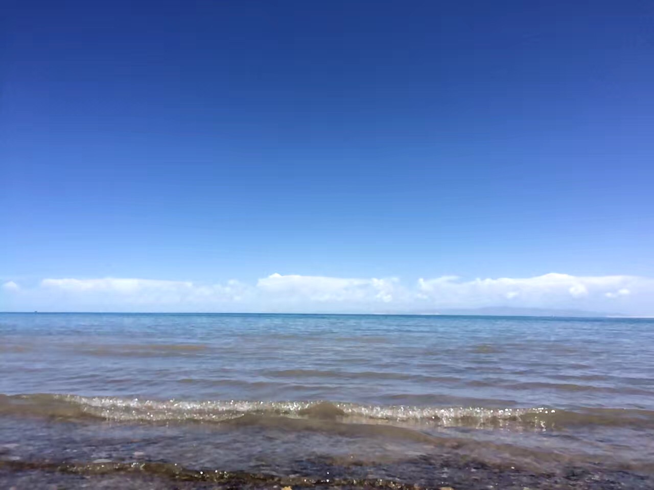 C794D664-F26B-484E-9D57-8677FCAA6482.jpeg