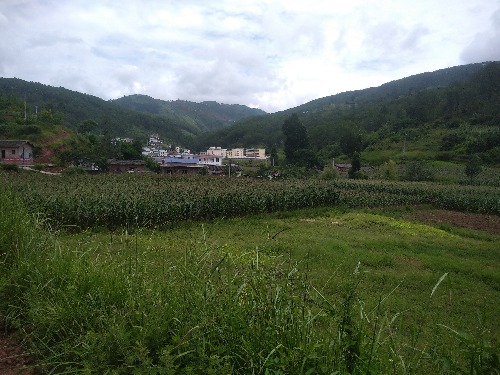 IMG_20200808_132158.jpg