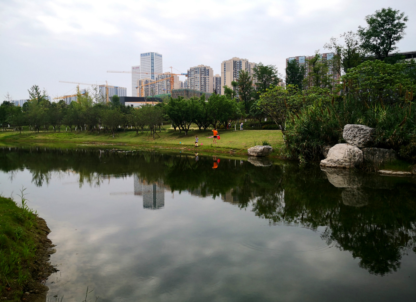 成都锦城湖湿地公园图片