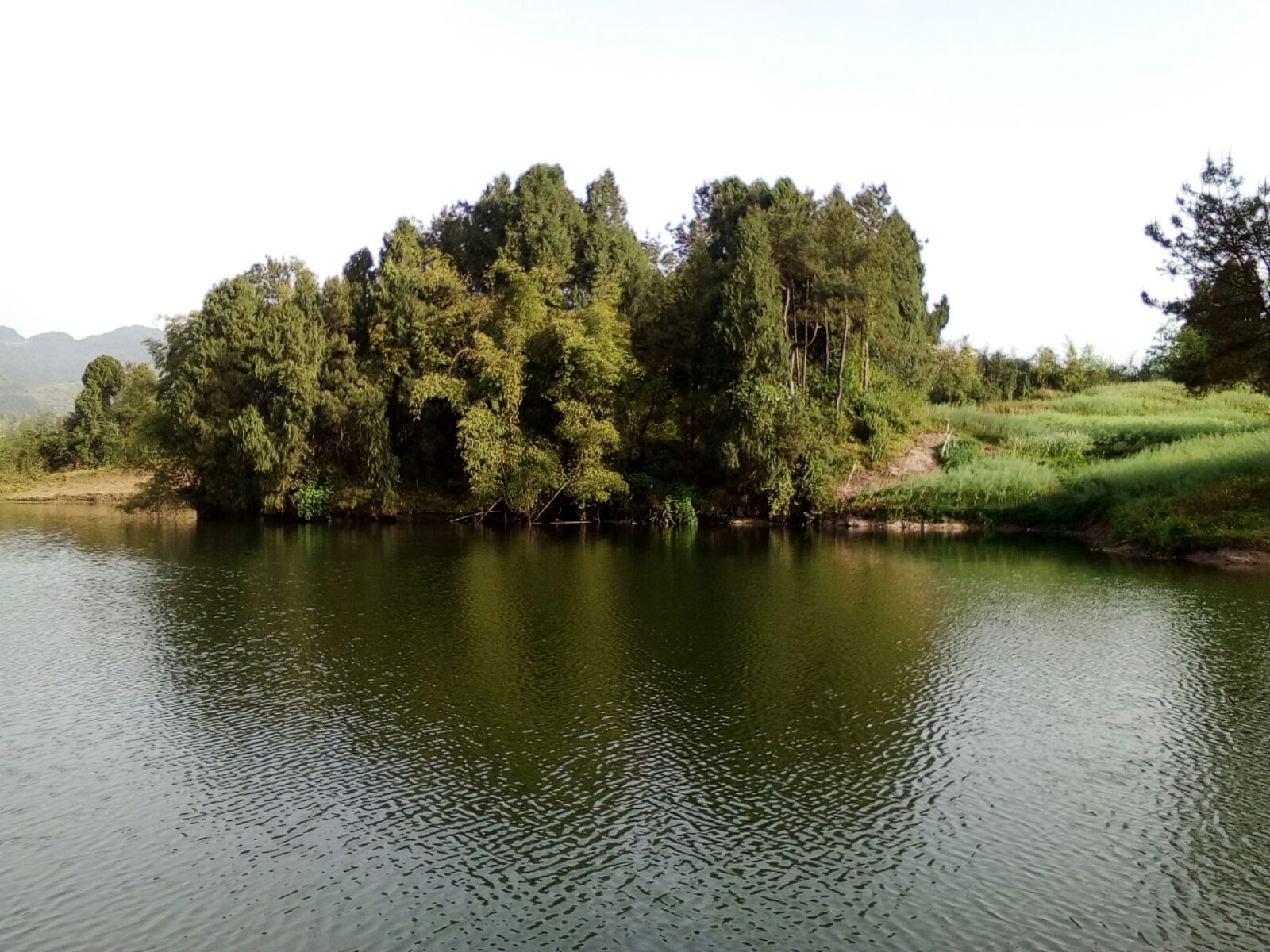 四川省达州市达川区九龙湖被承包20多年来往湖泊里面投放化肥已回复