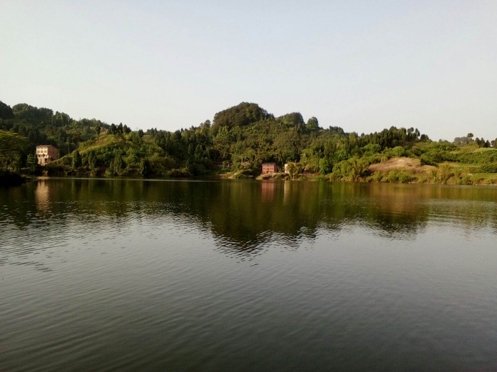 四川省达州市达川区九龙湖被承包20多年来往湖泊里面投放化肥已回复