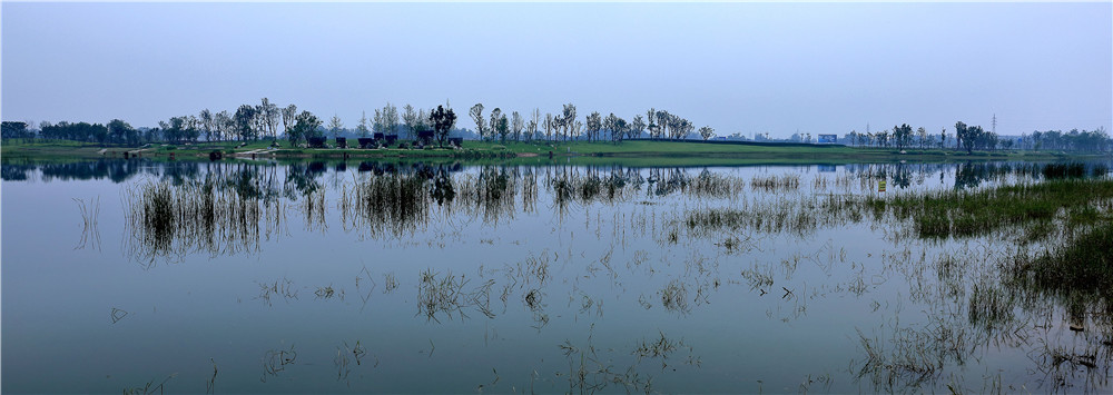 邛崃泉水湖湿地公园图片