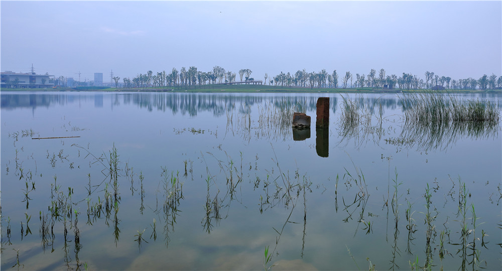 邛崃泉水湖湿地公园图片