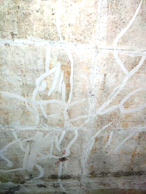 �컨��Ұ�����޲���