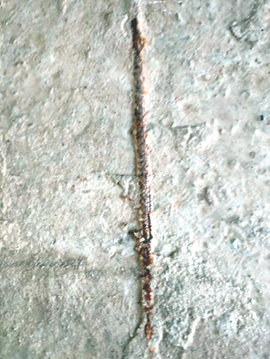 ����ֽ���¶����ʴ