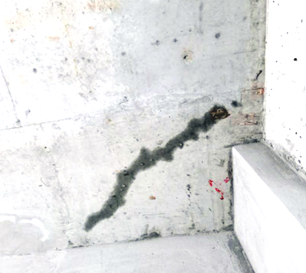 ������ᴩ�ѷ졢��©