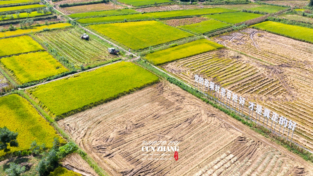 DJI_0557_.jpg