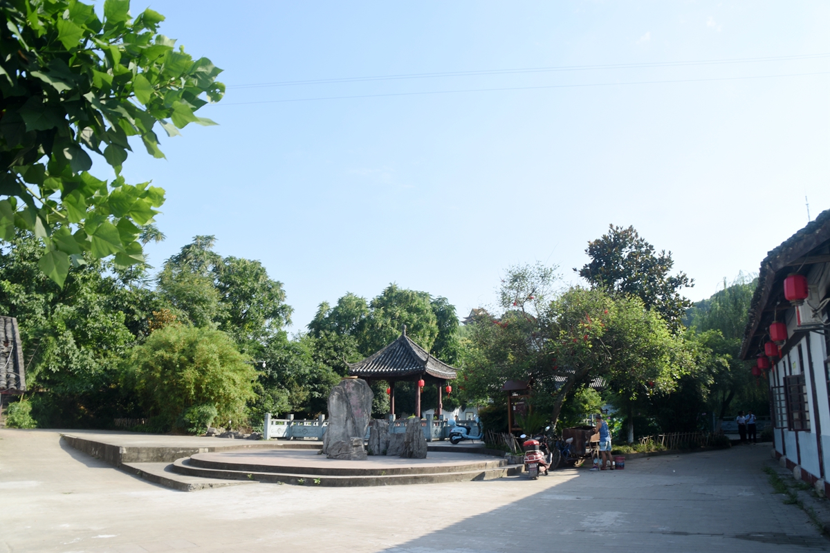 DSC_5542_.jpg